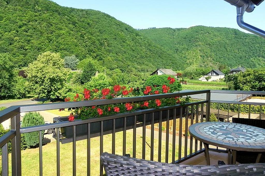 Gaestehaus Freimuth Mesenich Eksteriør bilde